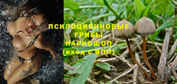 ГАЛЛЮЦИНОГЕННЫЕ ГРИБЫ Алексеевка