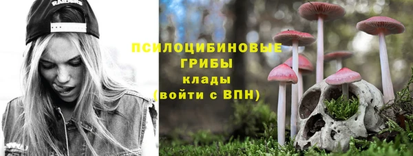 ГАЛЛЮЦИНОГЕННЫЕ ГРИБЫ Алексеевка